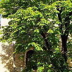 Au Coeur Des Gorges Du Verdon Διαμέρισμα Quinson